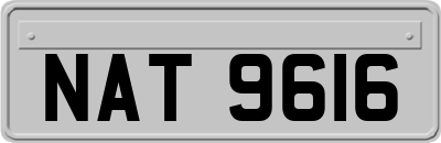 NAT9616