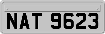 NAT9623