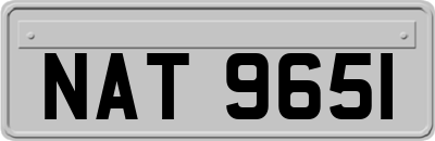 NAT9651