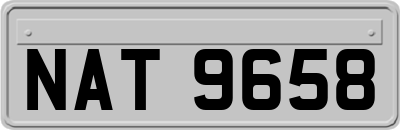 NAT9658