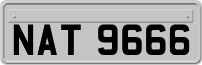 NAT9666