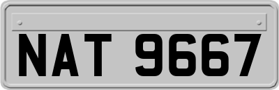 NAT9667