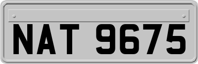 NAT9675