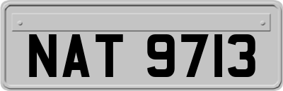 NAT9713