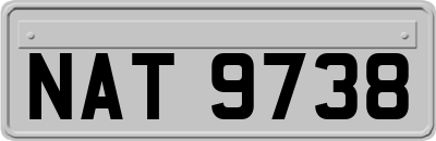 NAT9738