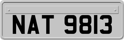 NAT9813