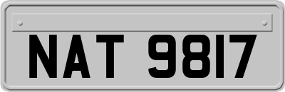 NAT9817