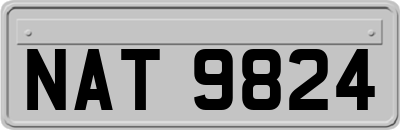 NAT9824