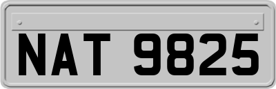 NAT9825