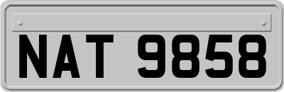 NAT9858