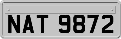 NAT9872