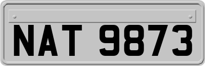 NAT9873