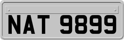 NAT9899