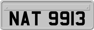 NAT9913