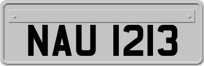 NAU1213