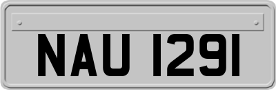 NAU1291