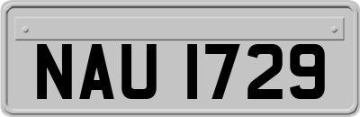 NAU1729