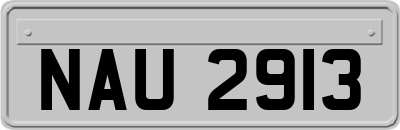 NAU2913