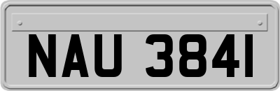 NAU3841