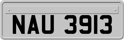 NAU3913