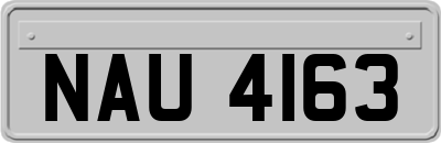 NAU4163