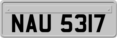 NAU5317