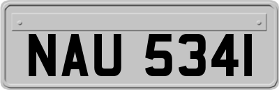 NAU5341