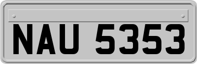 NAU5353