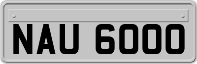 NAU6000