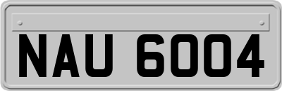 NAU6004