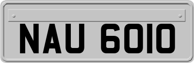 NAU6010