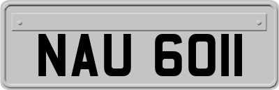 NAU6011