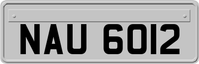 NAU6012