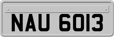 NAU6013