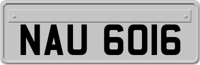 NAU6016