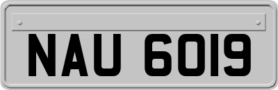 NAU6019