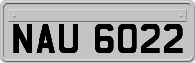 NAU6022