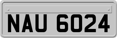 NAU6024