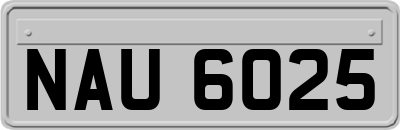 NAU6025