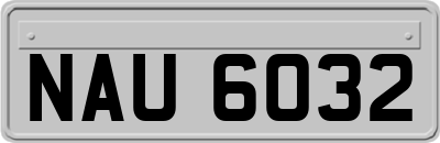 NAU6032