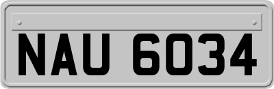 NAU6034