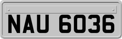 NAU6036