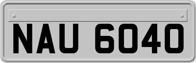 NAU6040