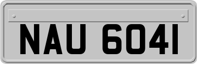 NAU6041