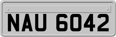 NAU6042