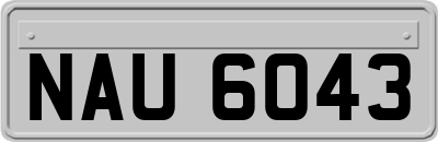 NAU6043