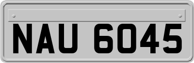 NAU6045