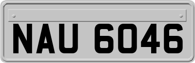 NAU6046