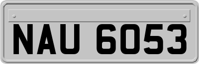 NAU6053