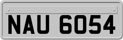 NAU6054